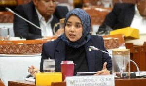 Dini Rahmania